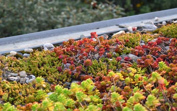 the cost of Hackford green roof installation
